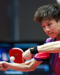 半岛体育入口-国乒男单包揽萨格勒布站四强 孙颖莎平野美宇争冠